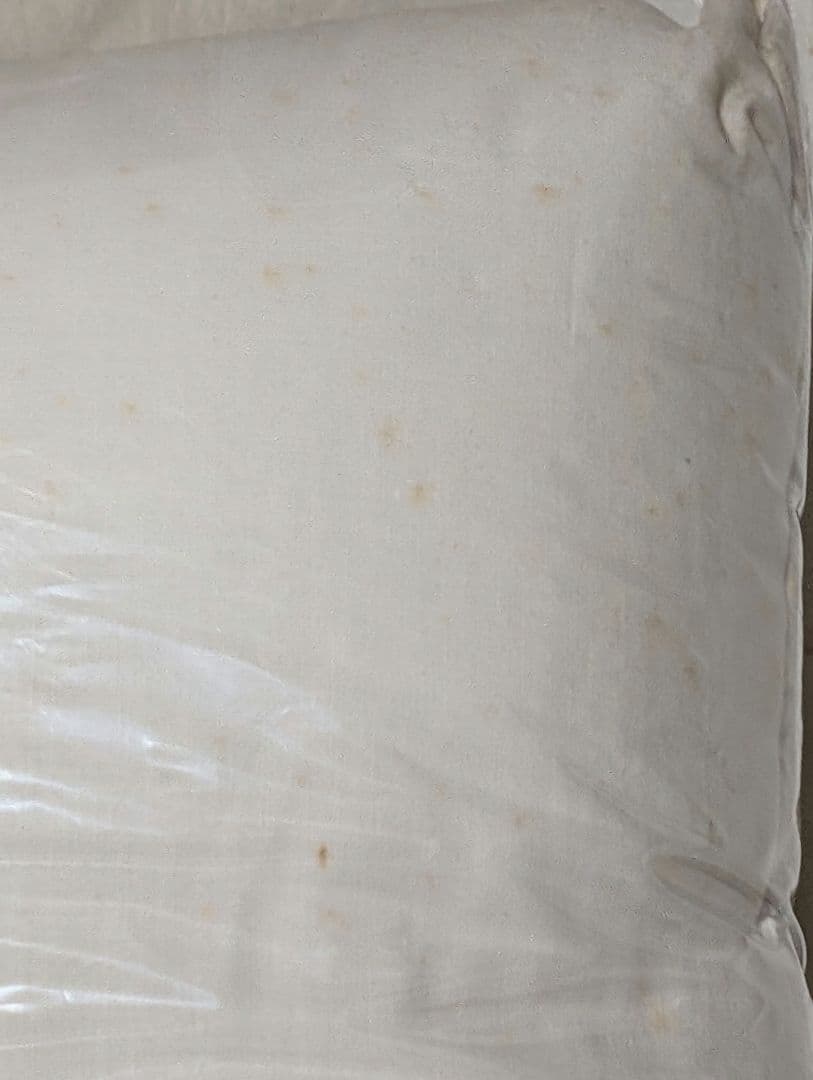 抱き枕 同級生 杉本桜子 希少