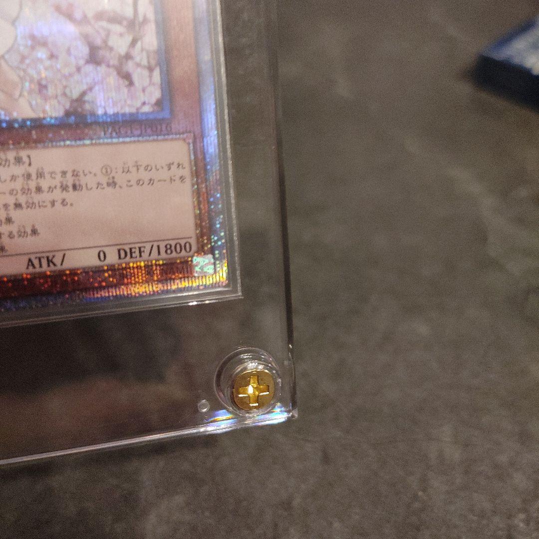 遊戯王　灰流うらら　プリズマ　ホログラムエラー　はるうらら