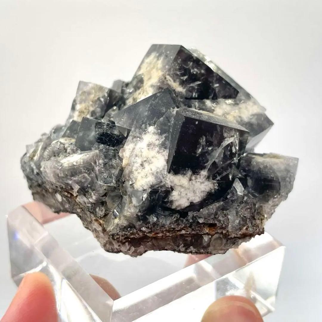 Diana Maria mine Yam Yam Pocket フローライト