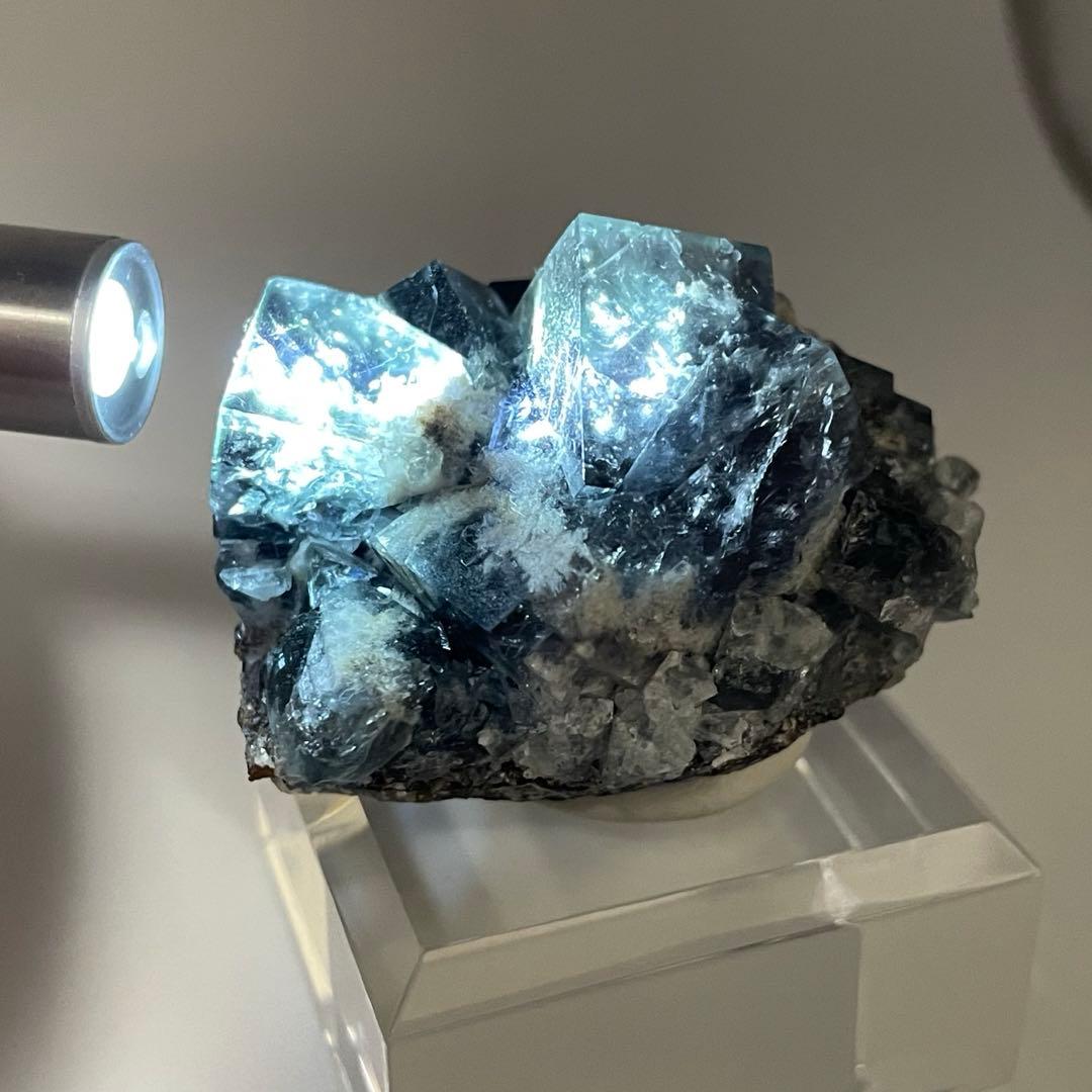 Diana Maria mine Yam Yam Pocket フローライト