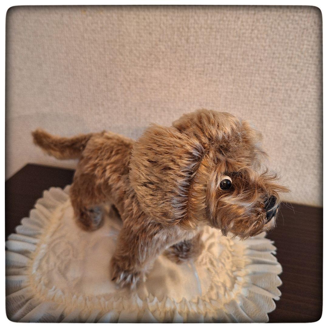 【ワイヤーヘアードダックスフント Raudi ラウディ】ヴィンテージ シュタイフ