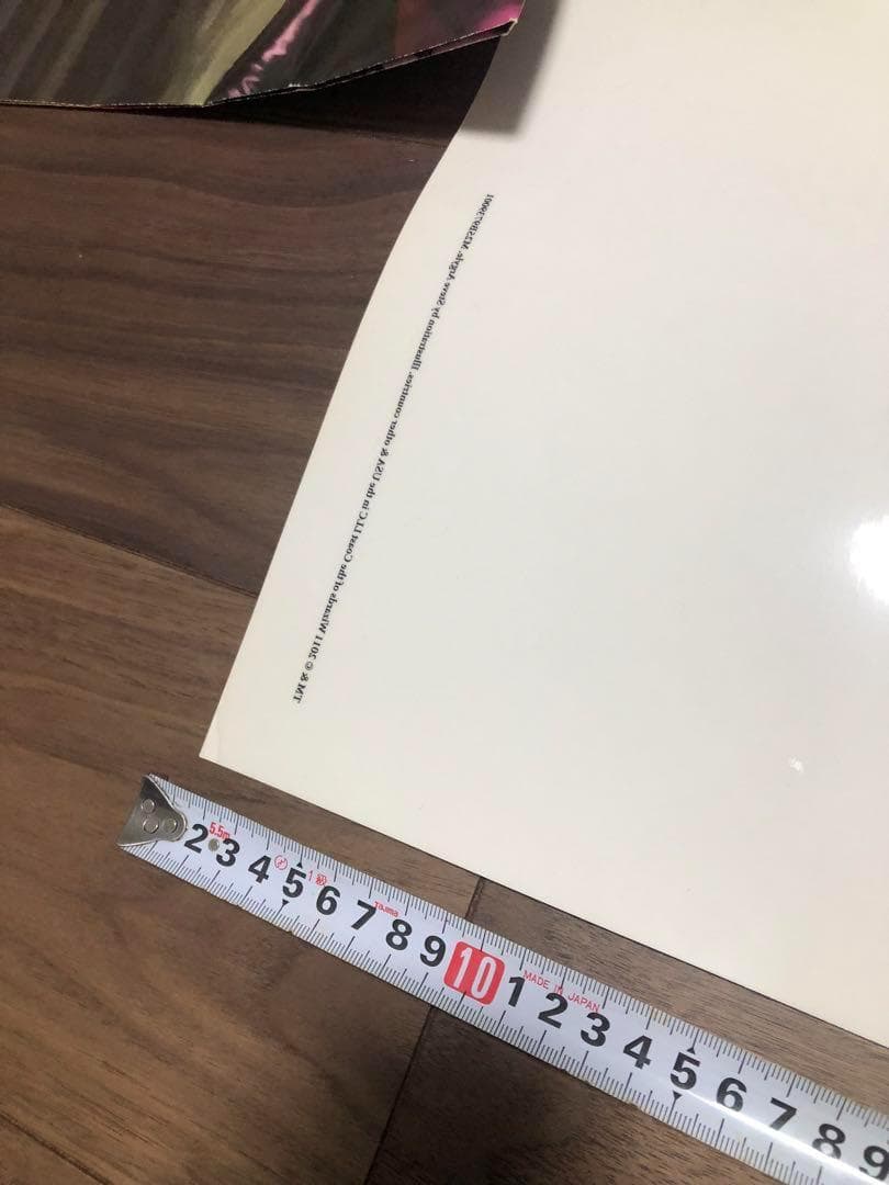 ヴェールのリリアナ　クリアポスター、ポスター