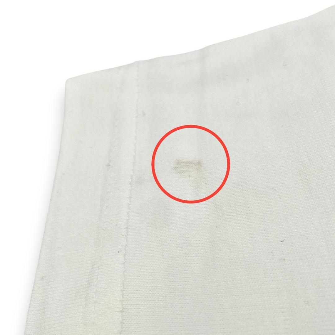 【未使用】ほしのあき× KIKSTYOコラボ/ Air JordanＴシャツ①