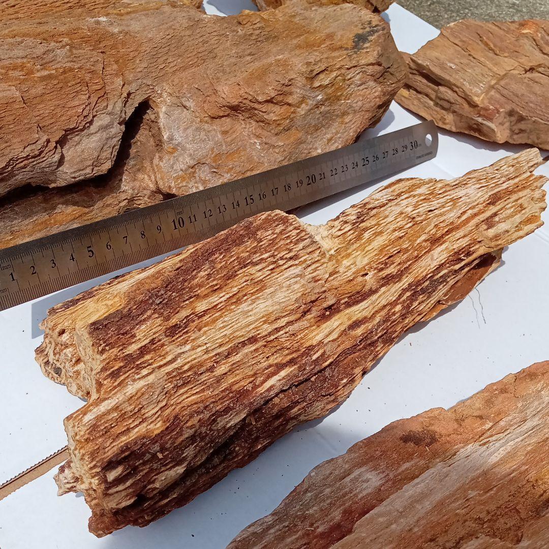 木化石01　約18ｋｇ　アクアリウム 　水槽　レイアウト　石