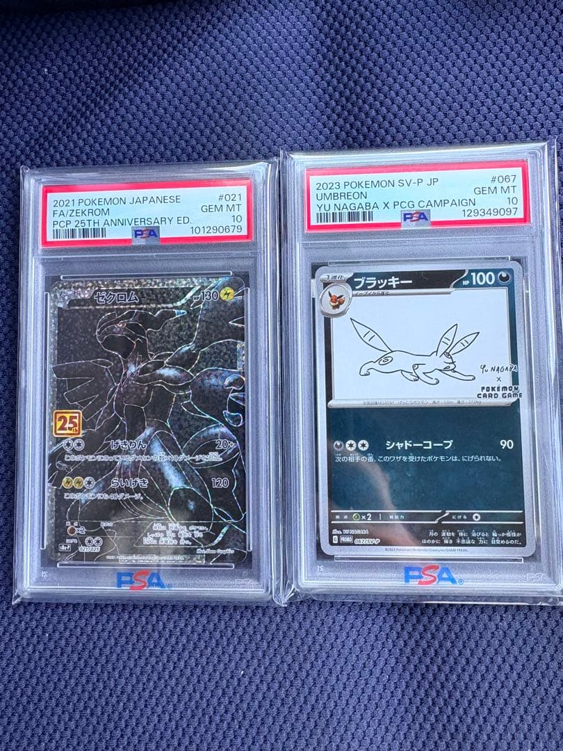 ブラッキー　ゼクロム25周年　psa10 まとめ売り