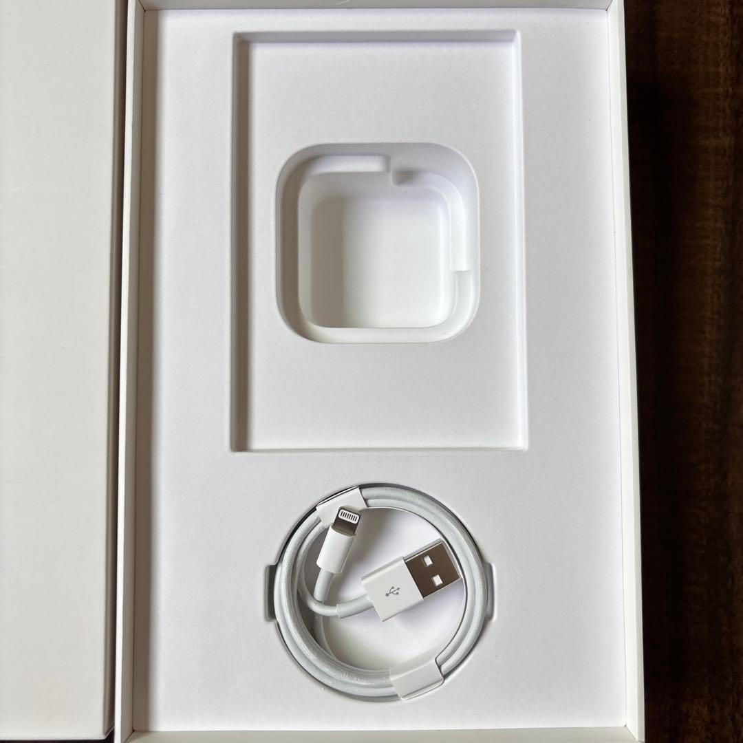 Apple iPad mini 5 スペースグレー 本体　バッテリー容量89%