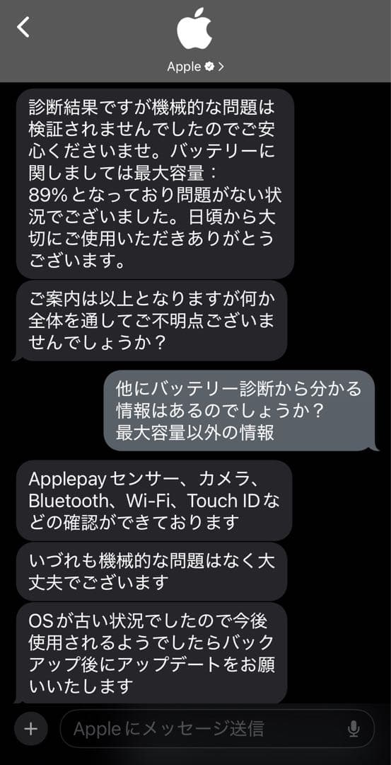 Apple iPad mini 5 スペースグレー 本体　バッテリー容量89%