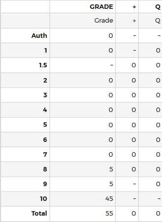 (箔押し)未来へ一緒に 姫森ルーナ(SSP) サイン PSA10