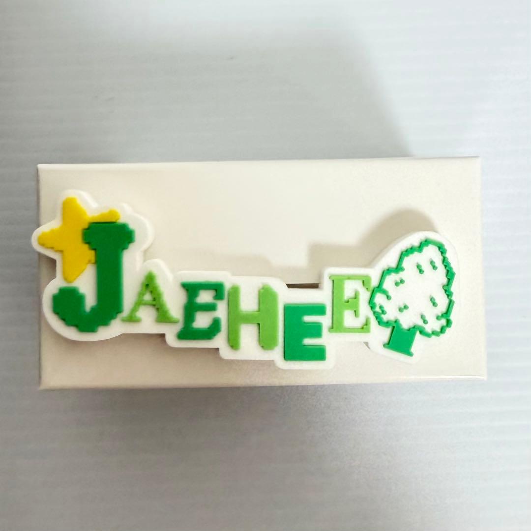 【残１点】NCT WISH FANLIGHTアクセサリー　6種コンプ