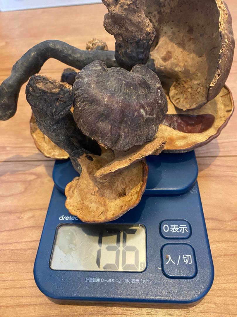 漢方灵芝草乾燥品、野生原生、重さ約136g、