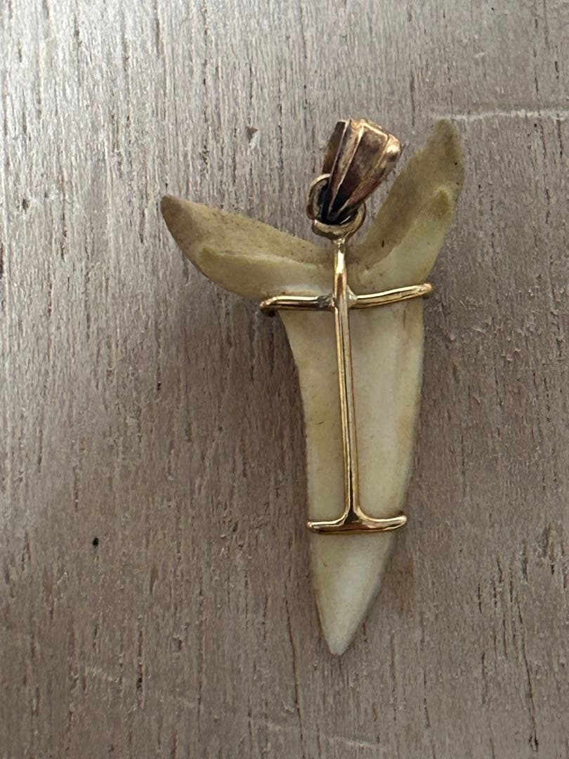 K18天然素材の歯ペンダント ゴールド装飾