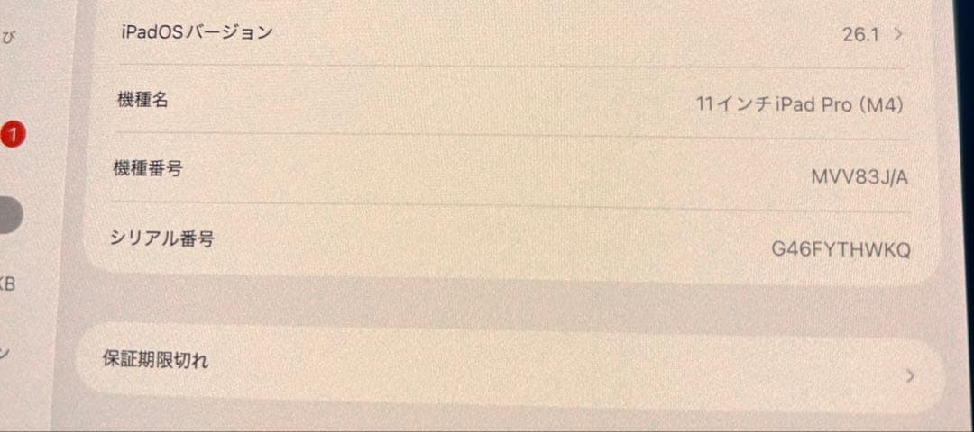 Apple iPad Pro M4 11インチ wifiモデル