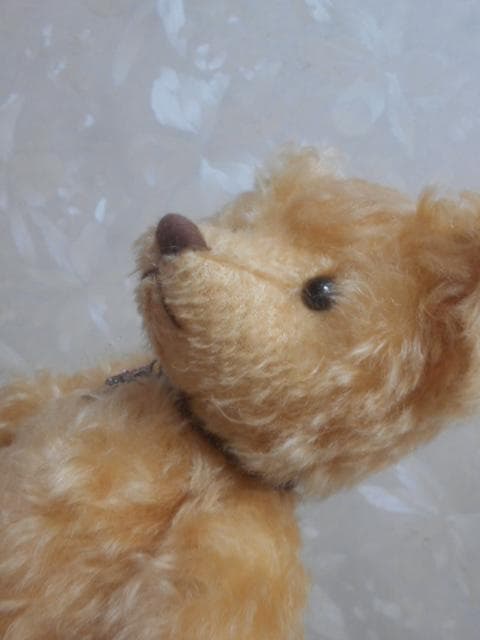 セリーヌ限定品　テディベア　250体限定　レアぬいぐるみ