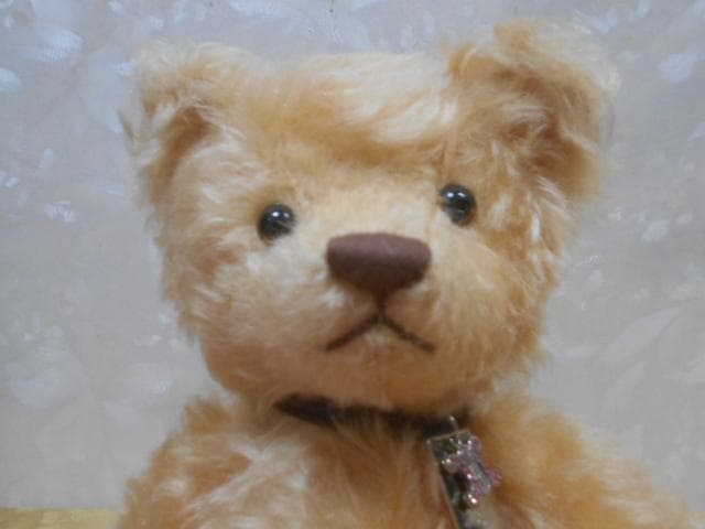 セリーヌ限定品　テディベア　250体限定　レアぬいぐるみ