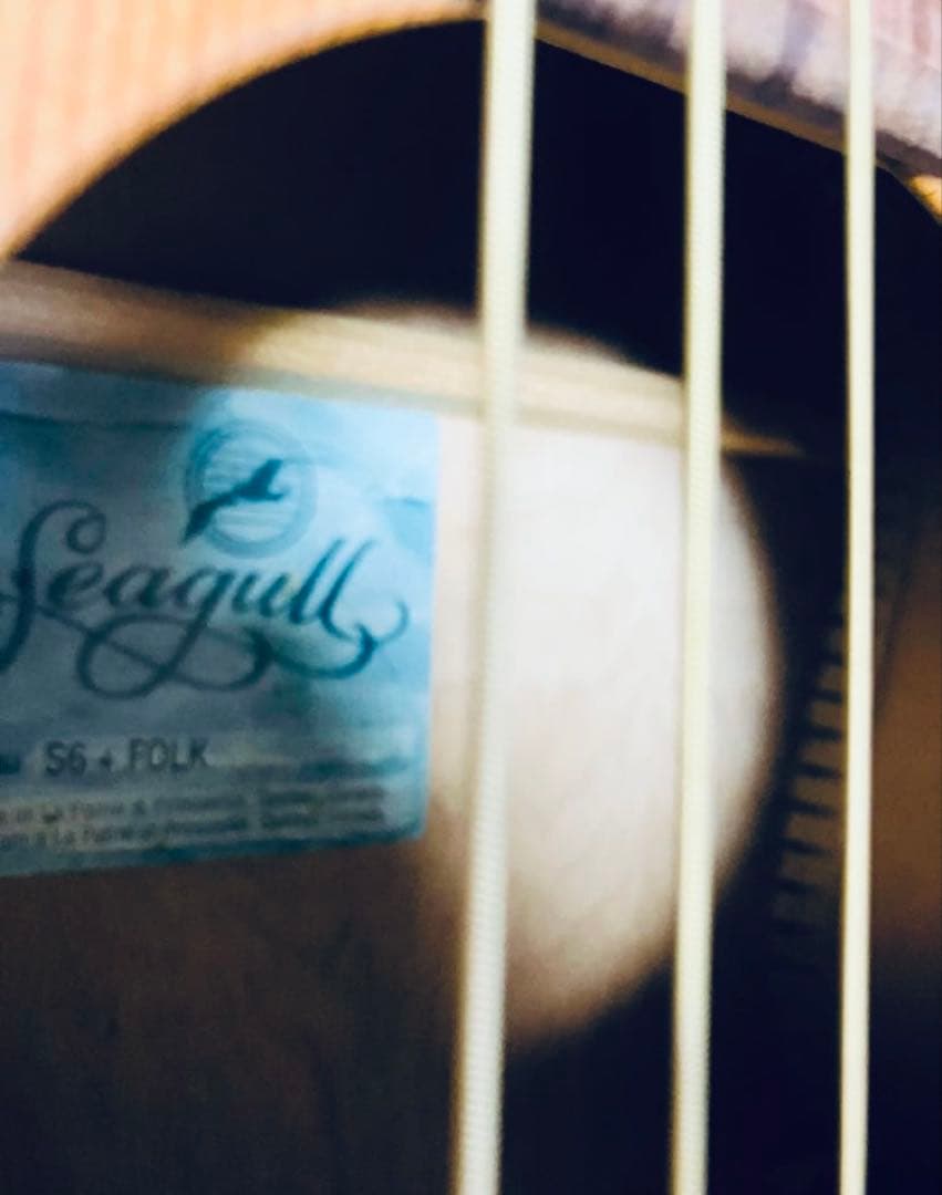 seagull S6 fork カナダ中堅モデルケース付きハンドメイドギター