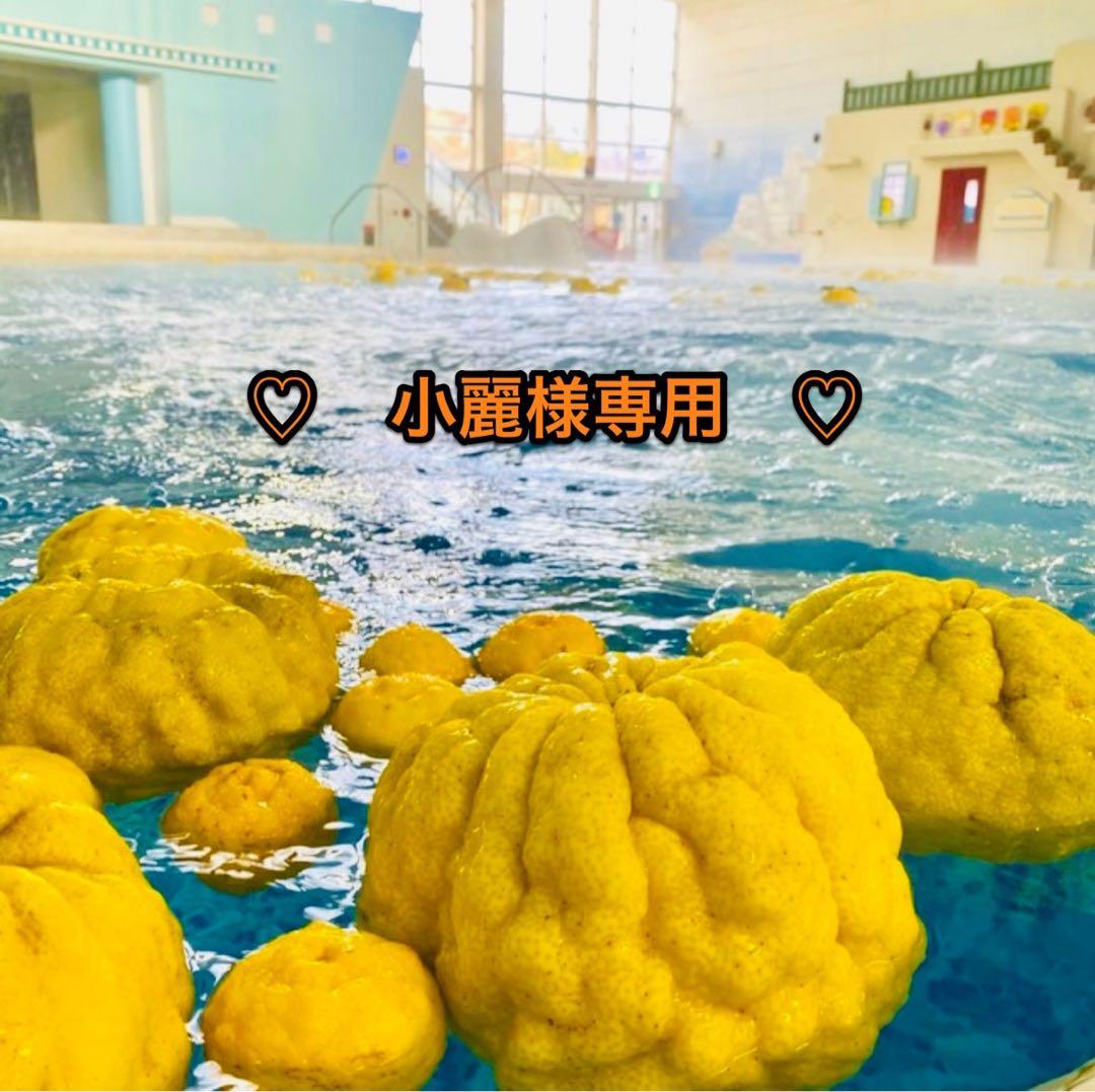 専用ページです