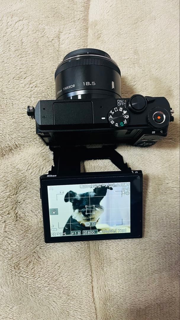 Nikon 1 J5 ミラーレス一眼 ダブルレンズキット 純正バッテリー2個付