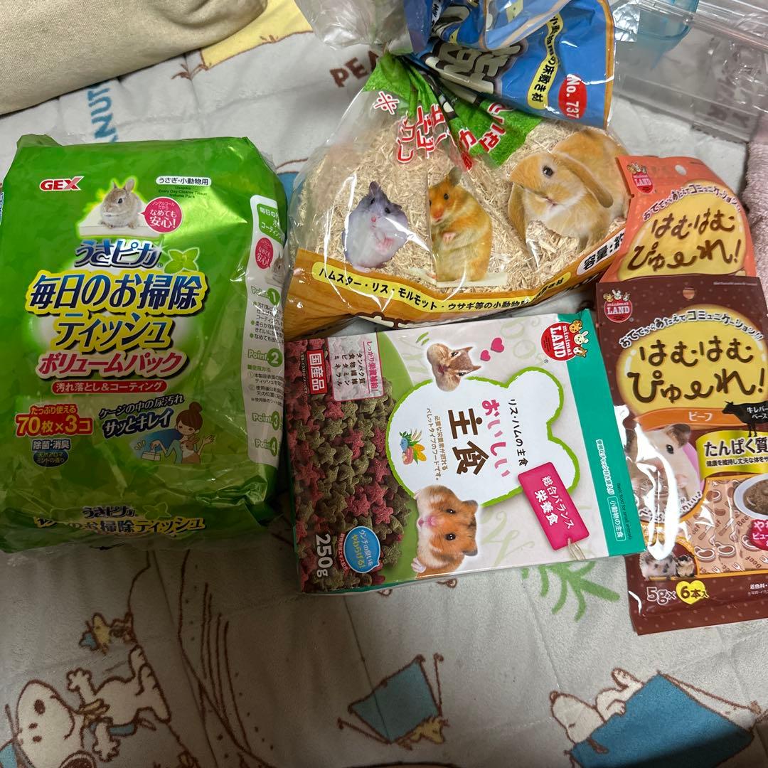 限定セール床材と餌付きルーミィ60グランスペースクリアー