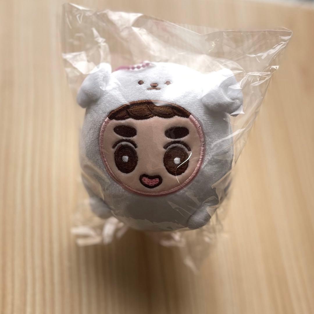 おまとめ確認用