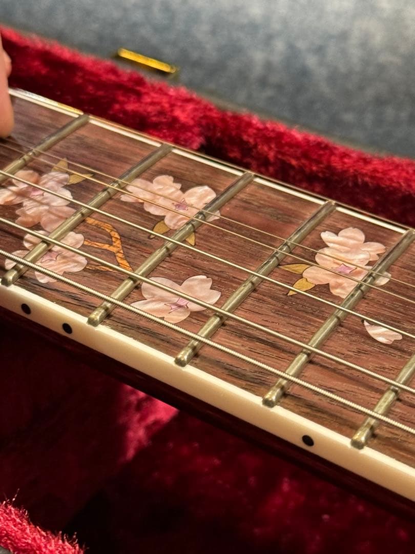 ギター momose MSG SAKURA SP 25 PH SKP GRD