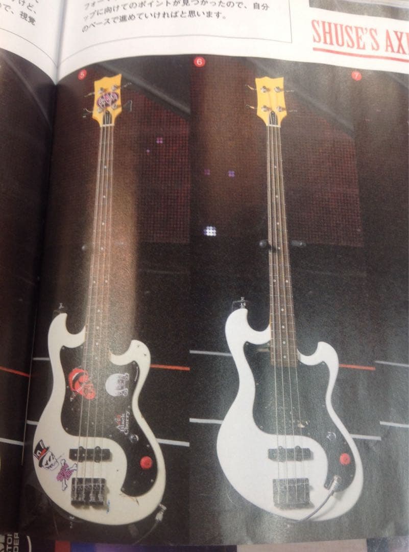 EDWARDS SHUSE ベース E-UT Acid Black Cherry