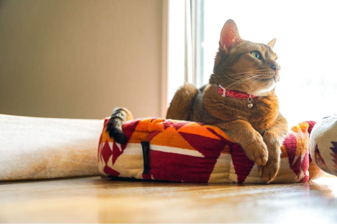 ペットベッド　ハンドメイド459 ペンドルトン　リメイク　猫ベッド　犬ベッド