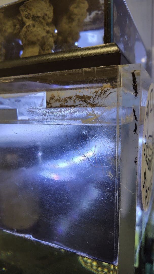 【送料込】大型アクリル水槽　1800×750×600（h）底面ブラック