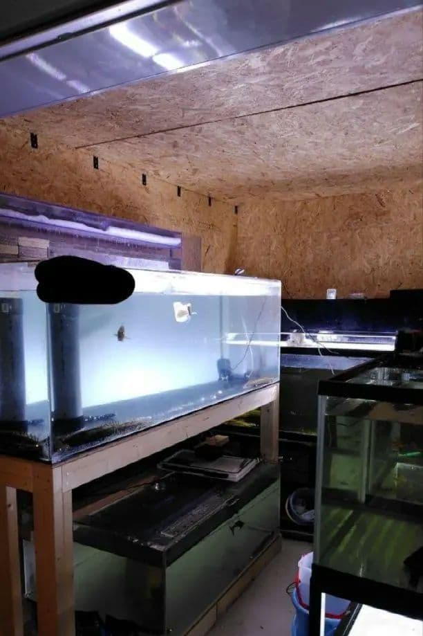 【送料込】大型アクリル水槽　1800×750×600（h）底面ブラック