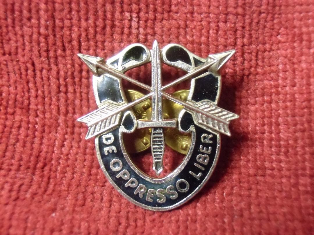 ★アメリカ軍＊ＳＦ/グリーンベレー＊ＤＩ/クレストバッジ/徽章（実物）