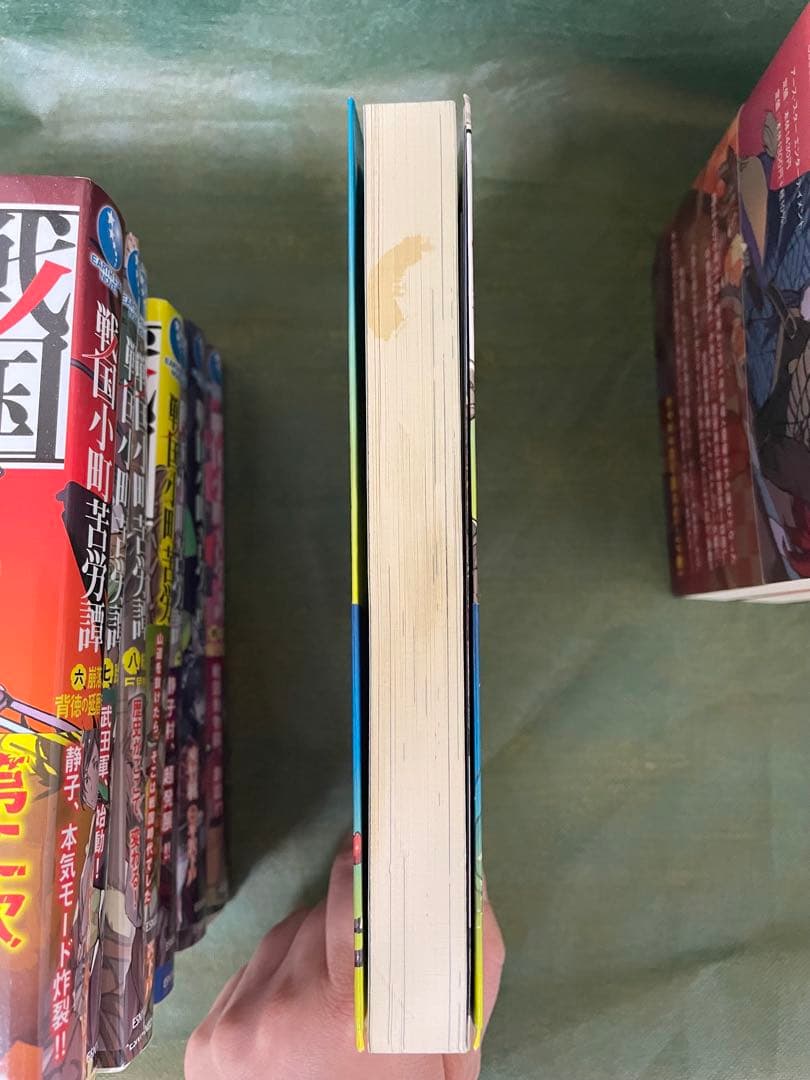 戦国小町苦労譚 1 〜17巻