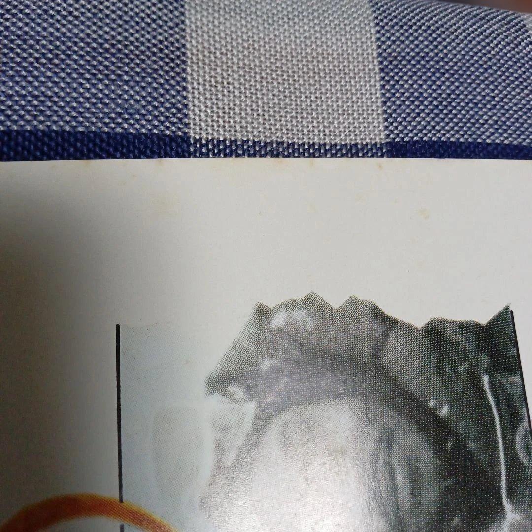 ポスター(遊星からの物体X)