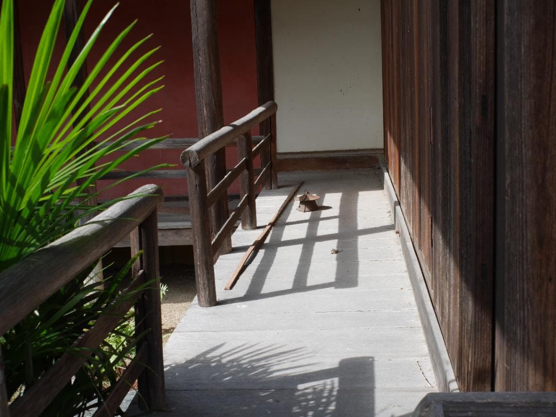 レンズ(単焦点) OLYMPUS E.ZUIKO AUTO-W 25mm F4