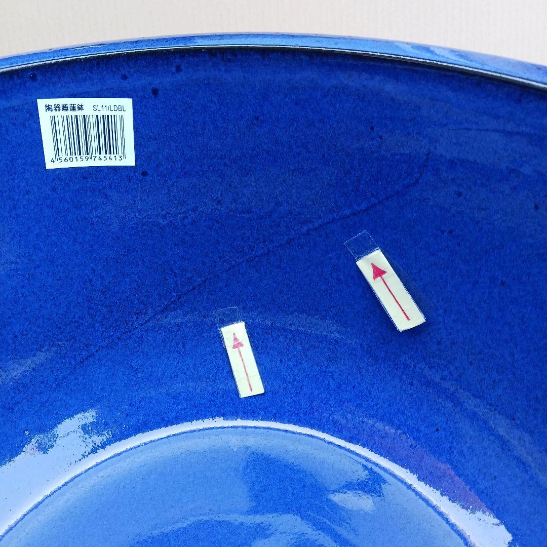 新品　∅51　特大　陶器　睡蓮鉢　手造り　メダカ鉢　難有　ラピスブルー　青LDB