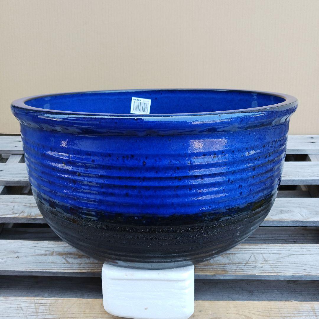 新品　∅51　特大　陶器　睡蓮鉢　手造り　メダカ鉢　難有　ラピスブルー　青LDB
