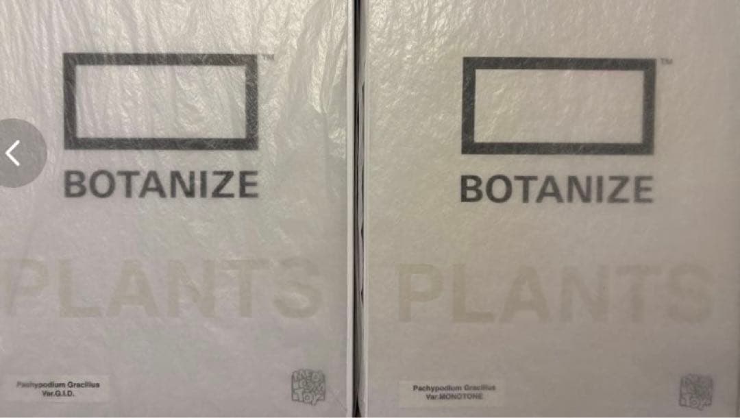 【新品未開封】ボタナイズ　メディコムトイ　モノトーン　G.I.D 2体セット