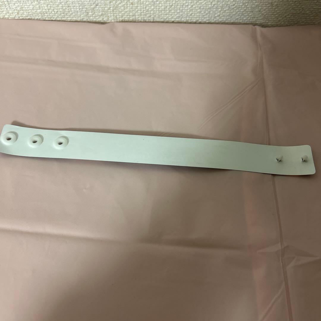 マイケルジャクソン⭐️NEVERLAND All Access Guest バンド