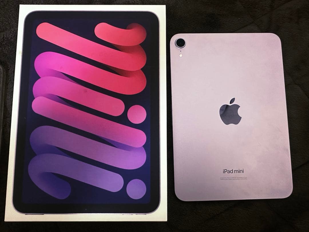 Apple iPad mini 7 本体