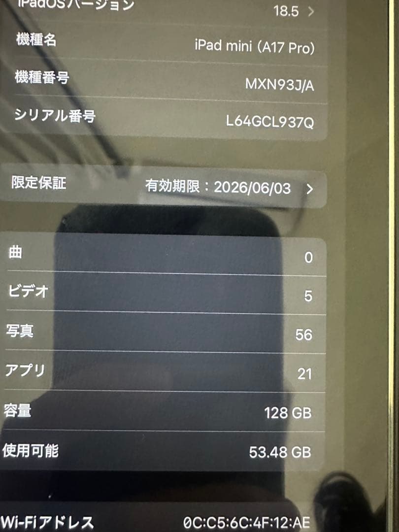 Apple iPad mini 7 本体