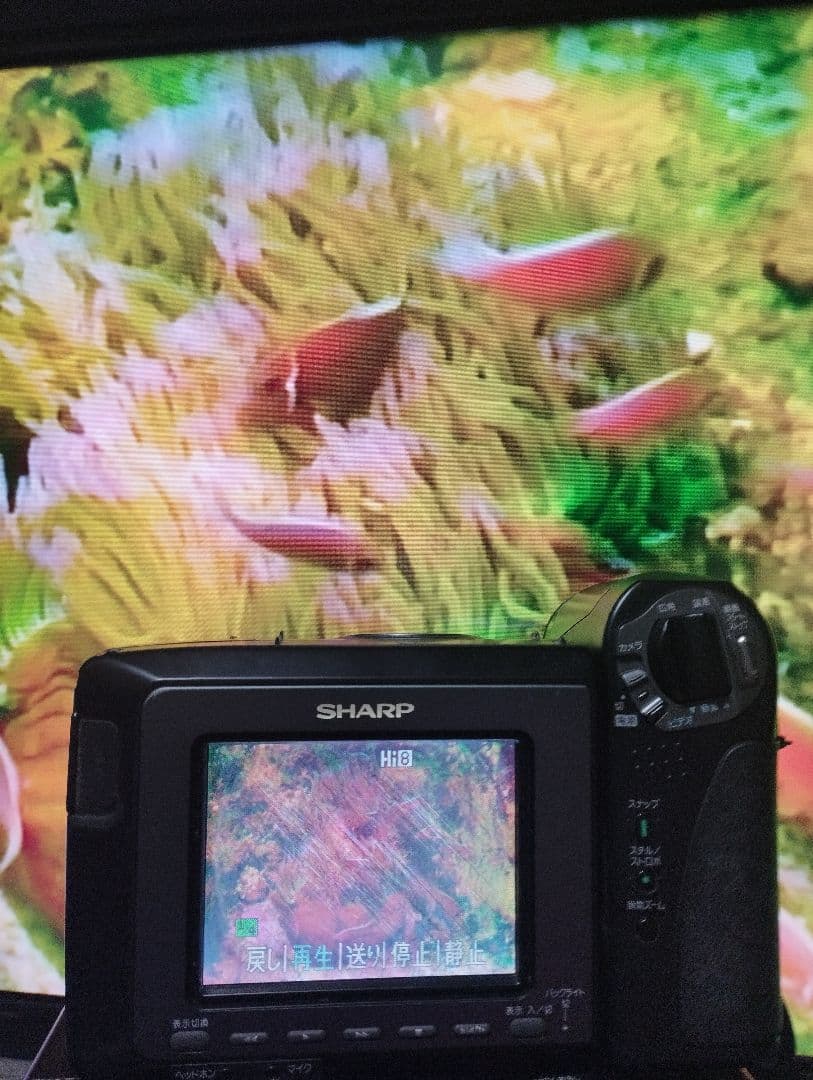 シャープ　Hi8 ８ミリビデオカメラ VL-HL50　ダビング◎