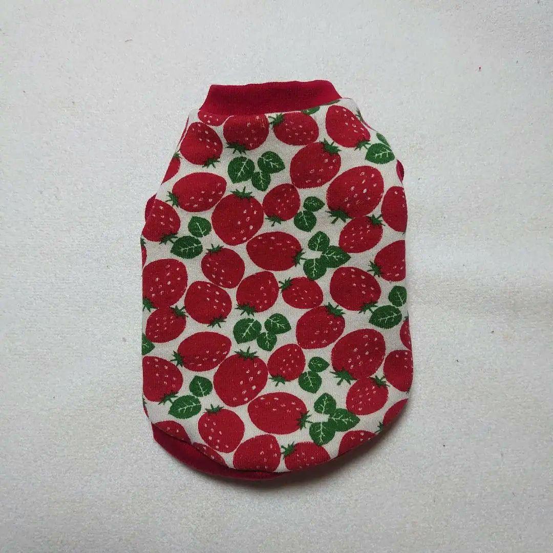 犬服 SS わんこの普段着　ごろっといちご