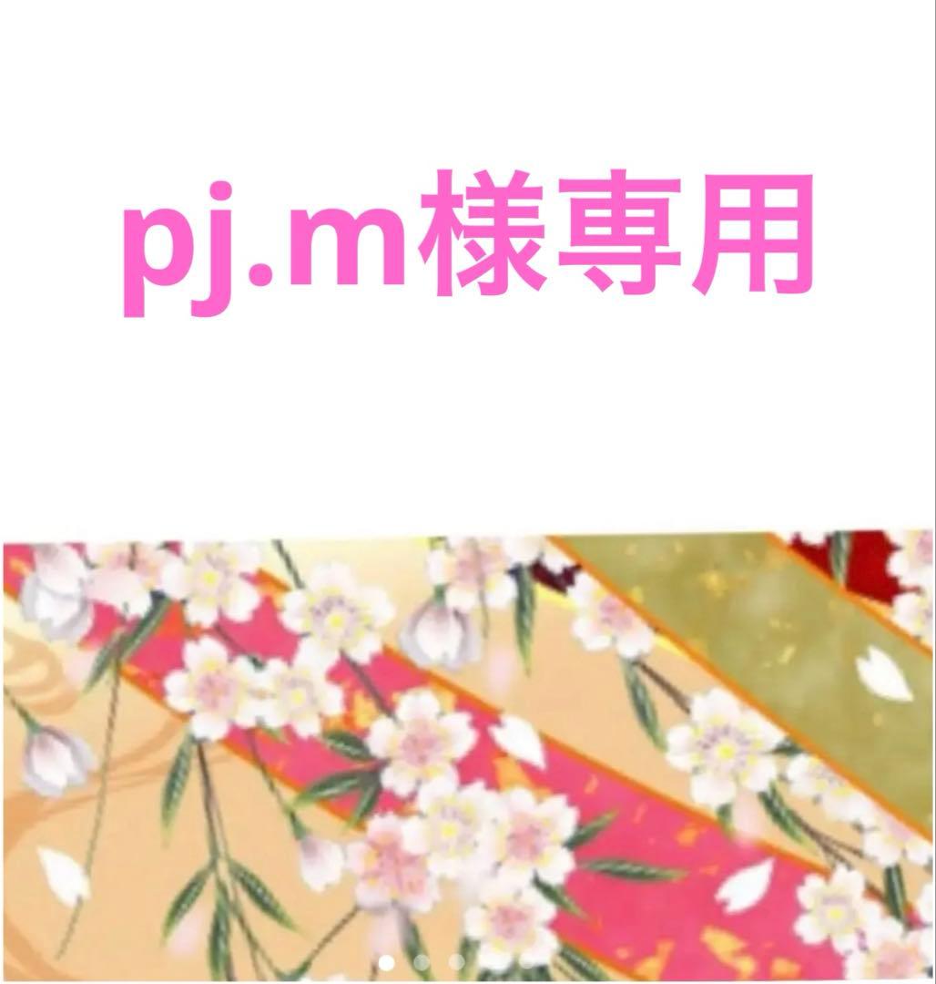pj.mページ