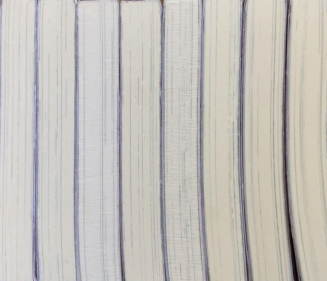 悪役令嬢は溺愛ルートに入りました!?　小説　1-8巻　全巻セット