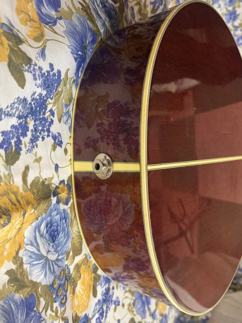 TakaminePT-106左利きコントローラーCT4BⅡ 純正ハードケース付き