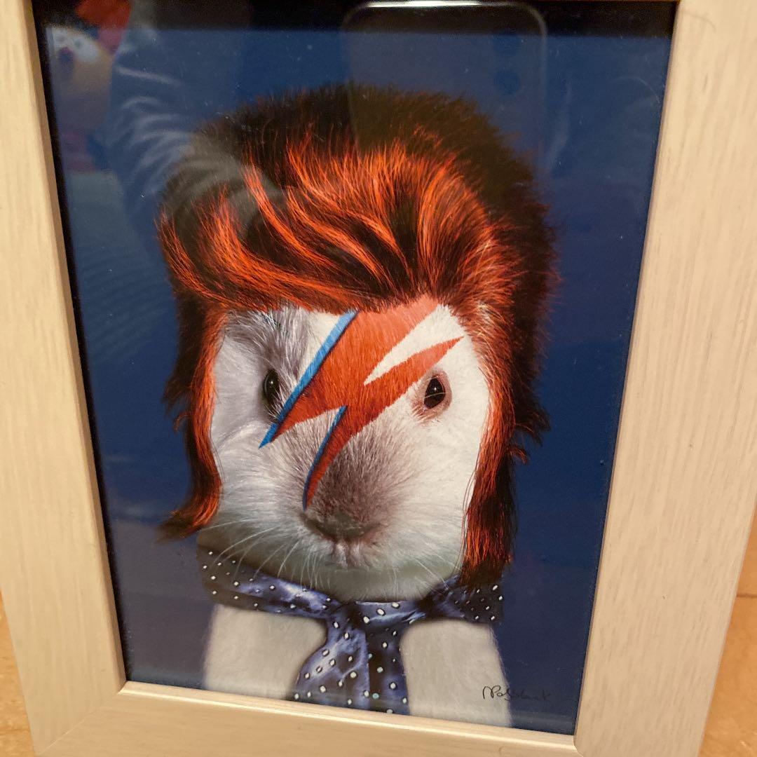 petsrock ペッツロック　デビッドボウイ絵画　原画