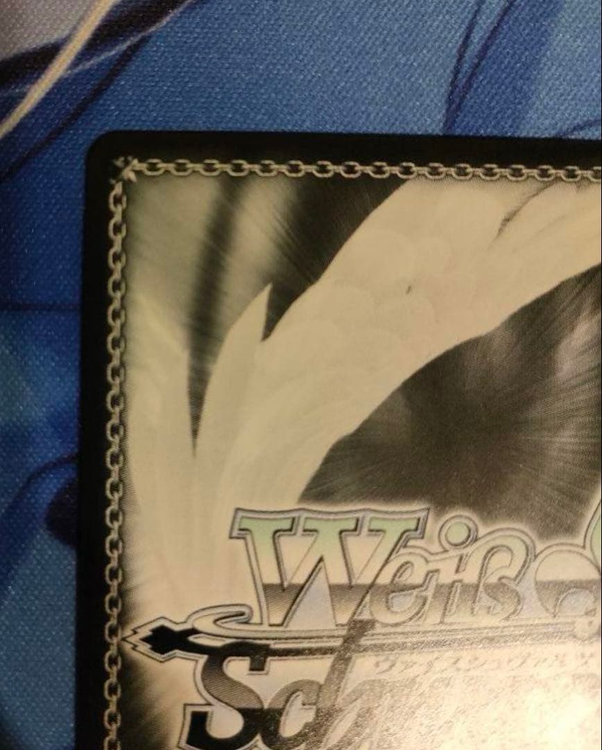 【美品】ザラ SP サイン ヴァイス アズレン ②