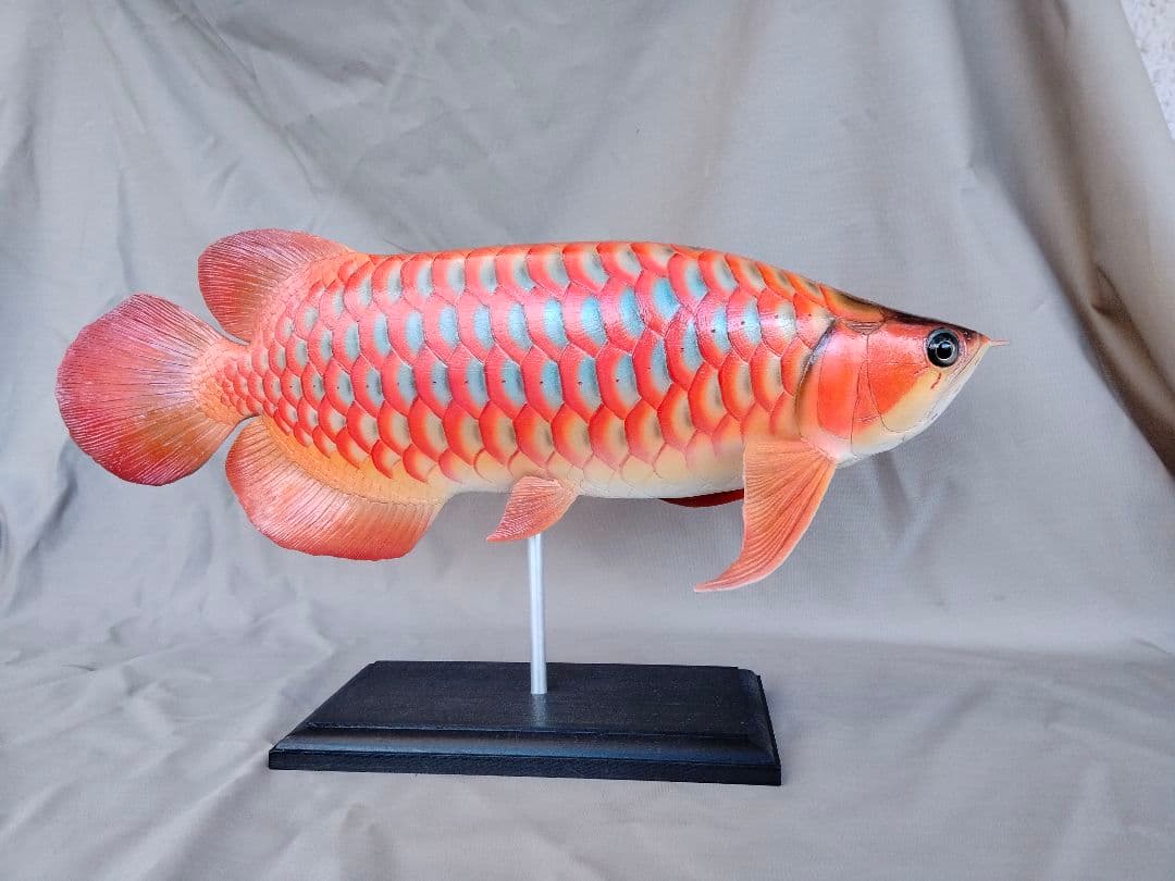 新作ハンドメイド　41cmアロワナ　フィギュア　レプリカ　熱帯魚　レッドブルー