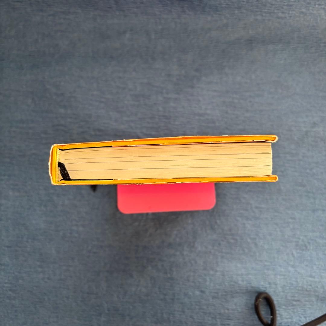 絶版ー願望実現の法則 : リアリティ・トランサーフィン2 : 魂の快/不快の選択