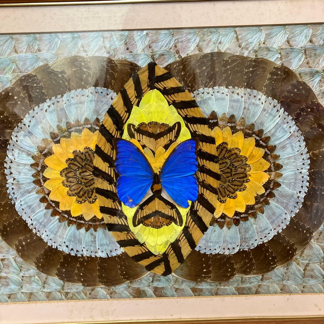 昭和レトロ 蝶 羽細工 標本 アートパネル 絵画 額装 額入り 伝統工芸 絵画