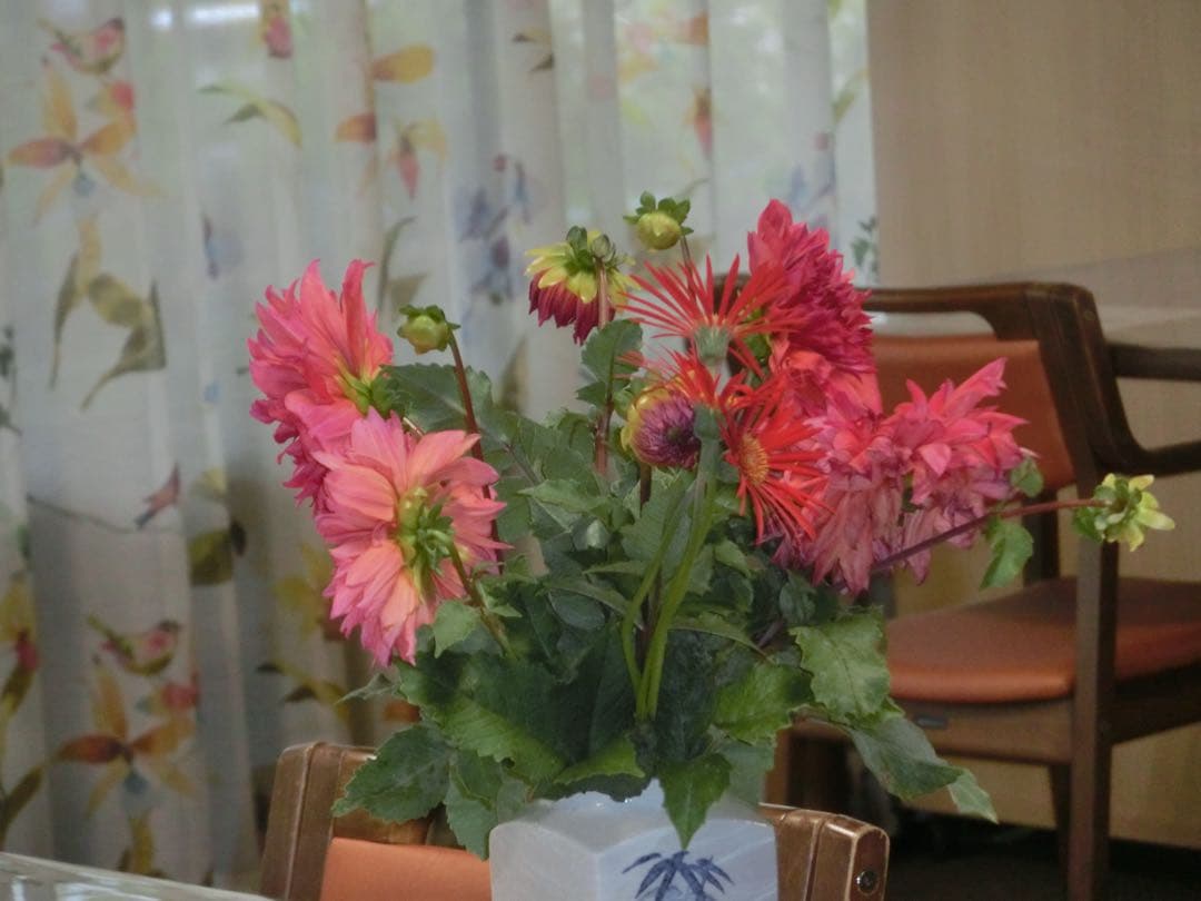 デジタルカメラ Digital camera casio zr400