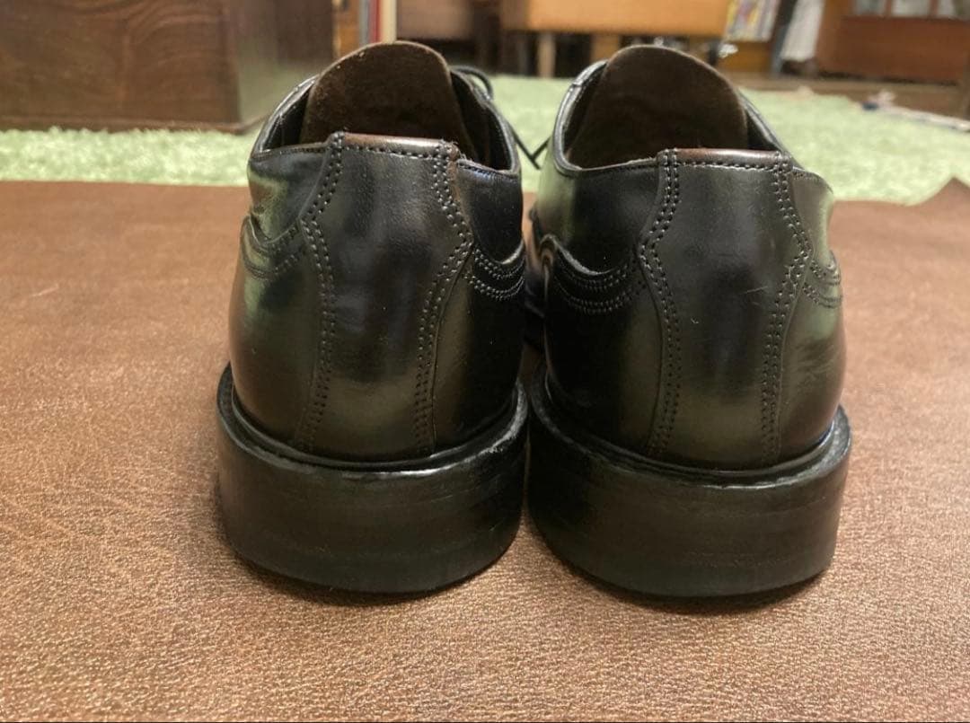 チーニー ケンゴンH UK6H